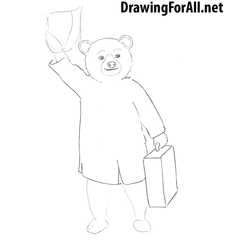 learn How to draw Paddington Bear