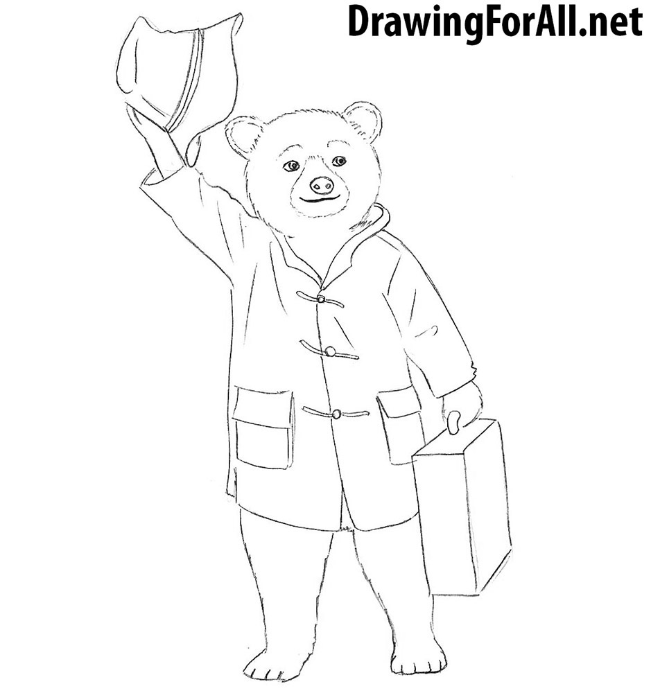 How to draw Paddington Bear