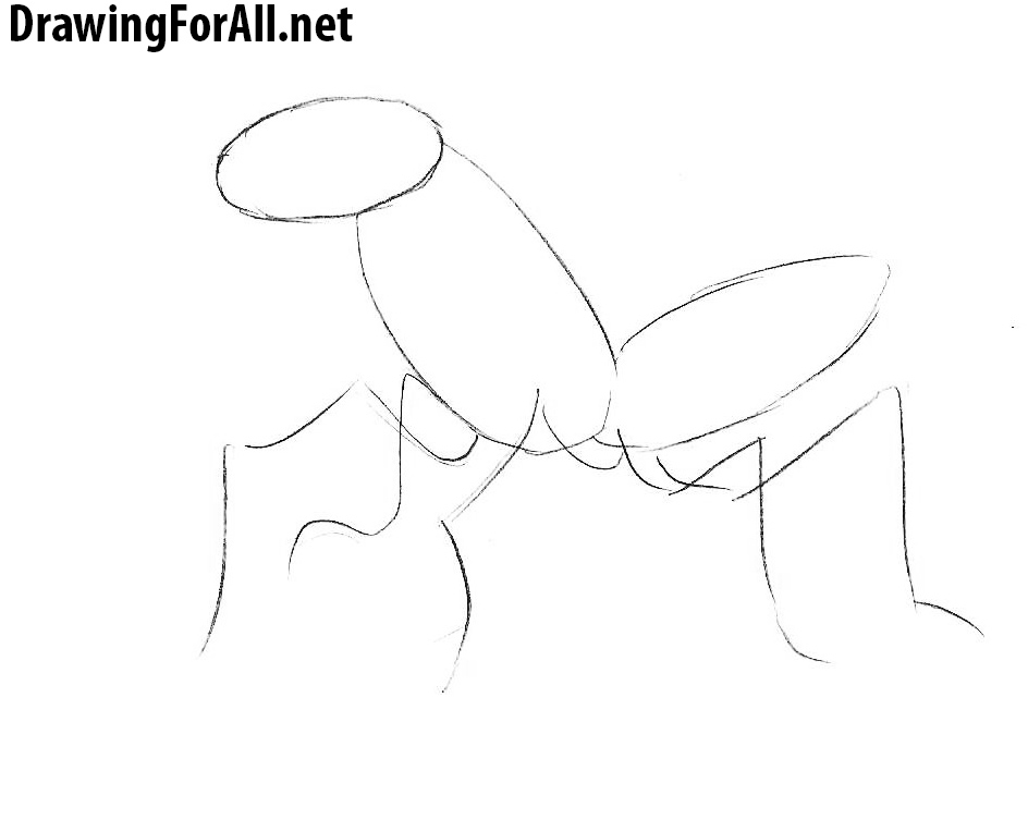 How to Draw an Ankheg