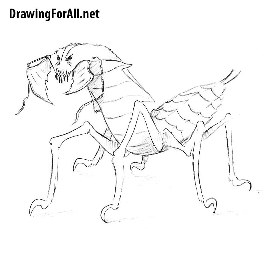 How to Draw an Ankheg