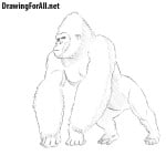 How to Draw King Kong