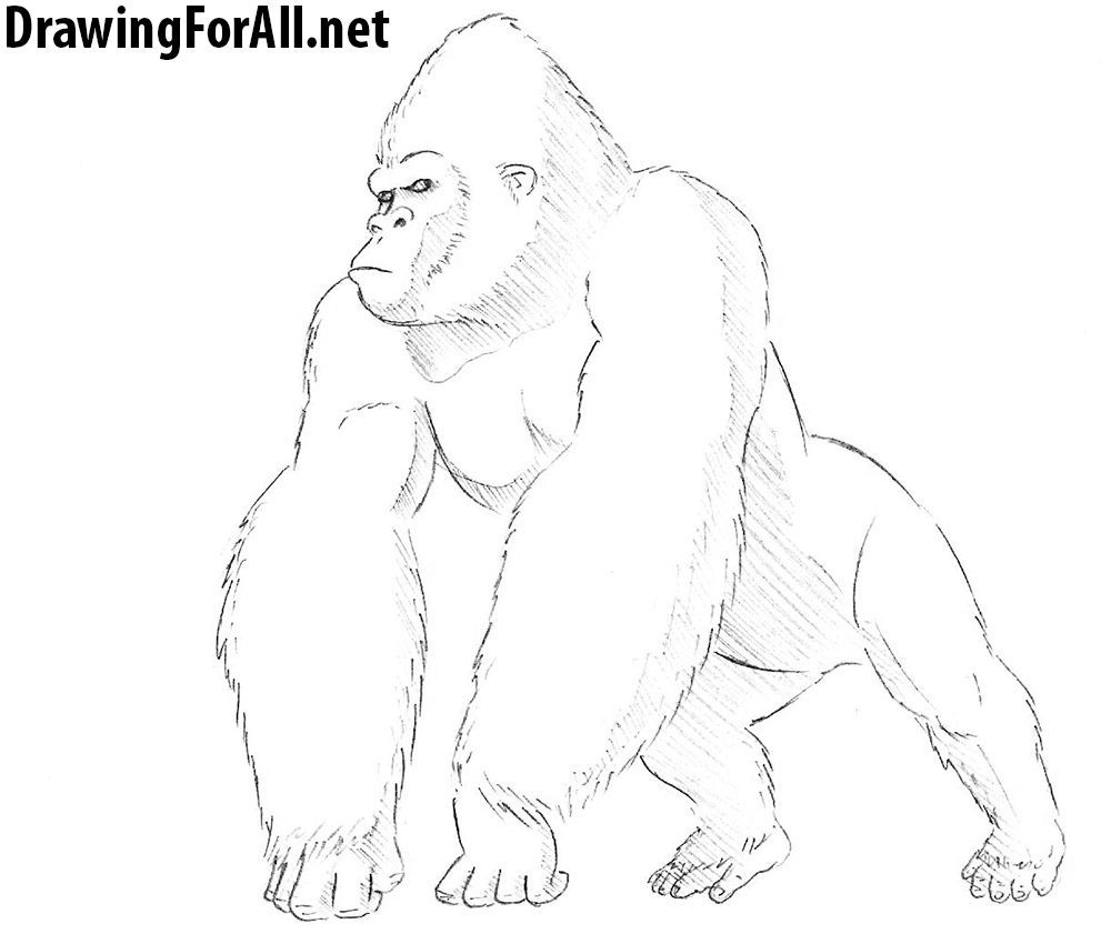 king kong drawing