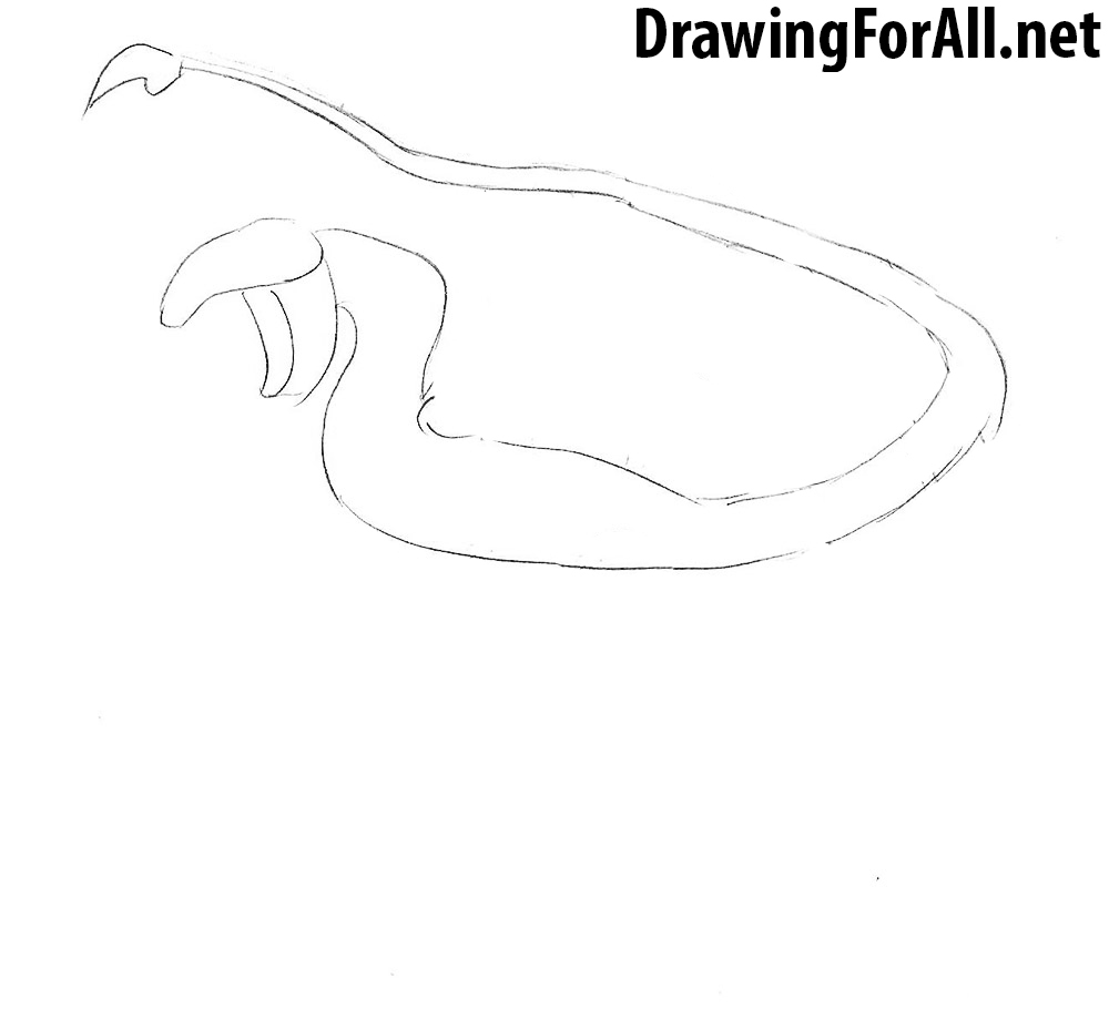 how to draw a wyvern step by step