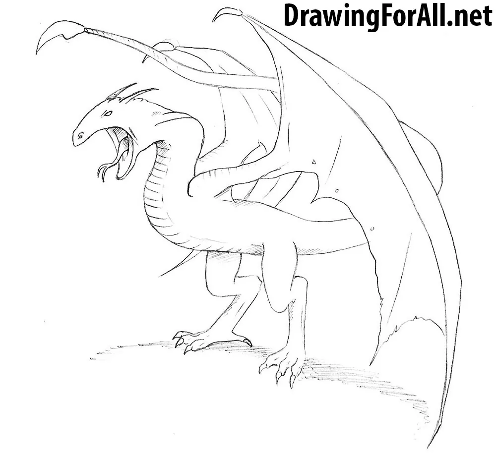 how to draw a wyvern