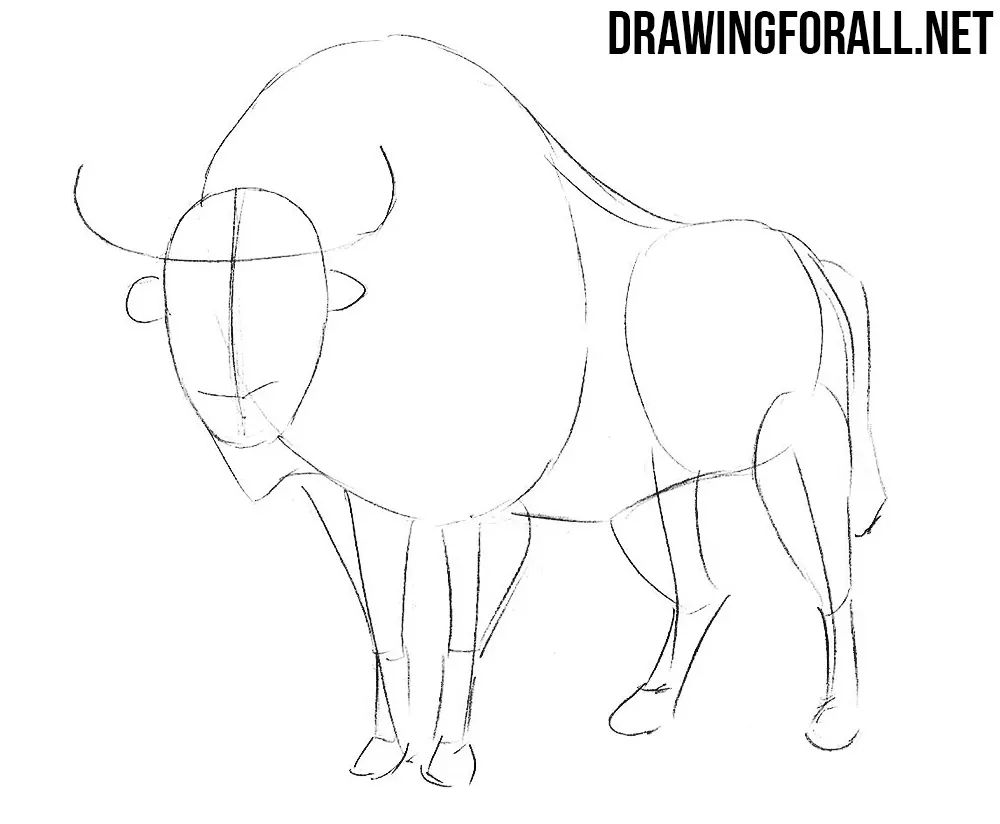 how to draw a bison