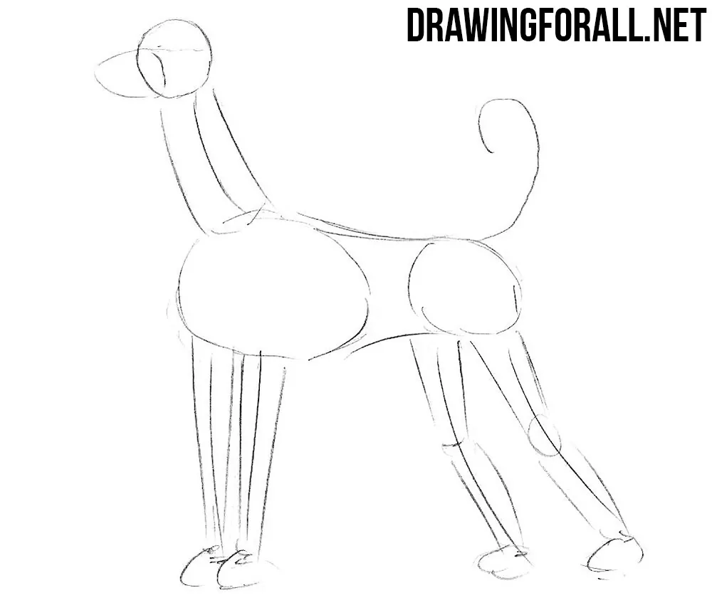 how to draw a hound