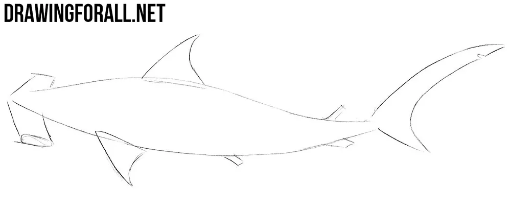 how to draw a shark step by step