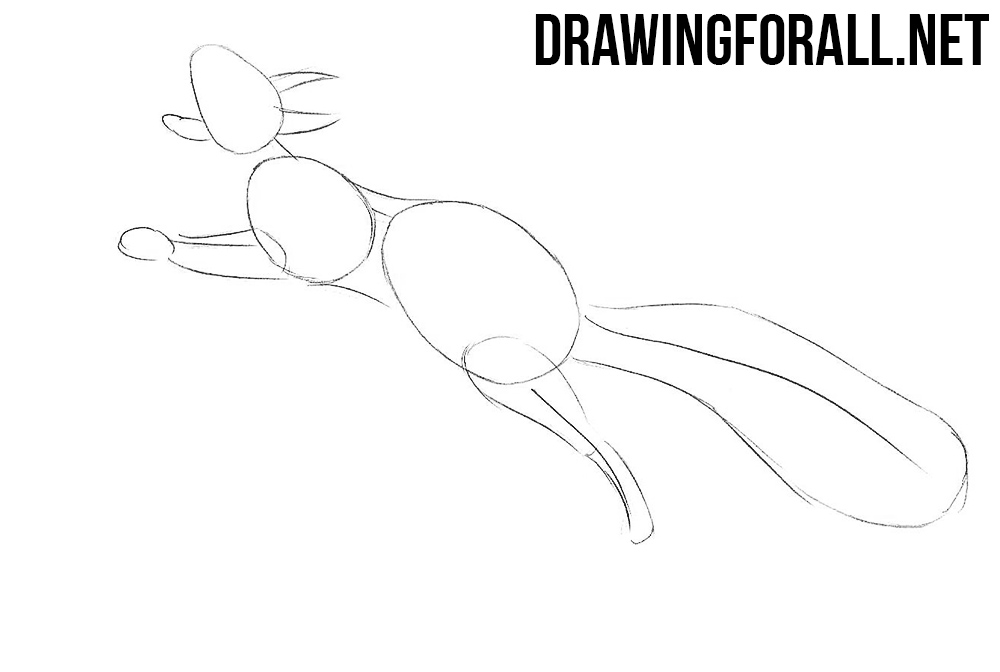 learn how to draw a Squirrel