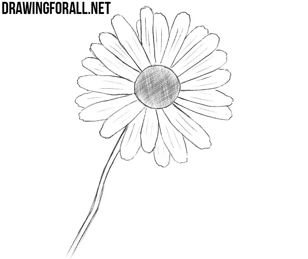 Flower Drawing Line, flower, cdr, leaf png | PNGEgg