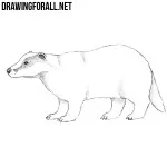 How to Draw a Badger