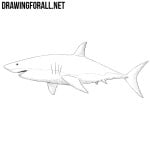 How to Draw a Shark