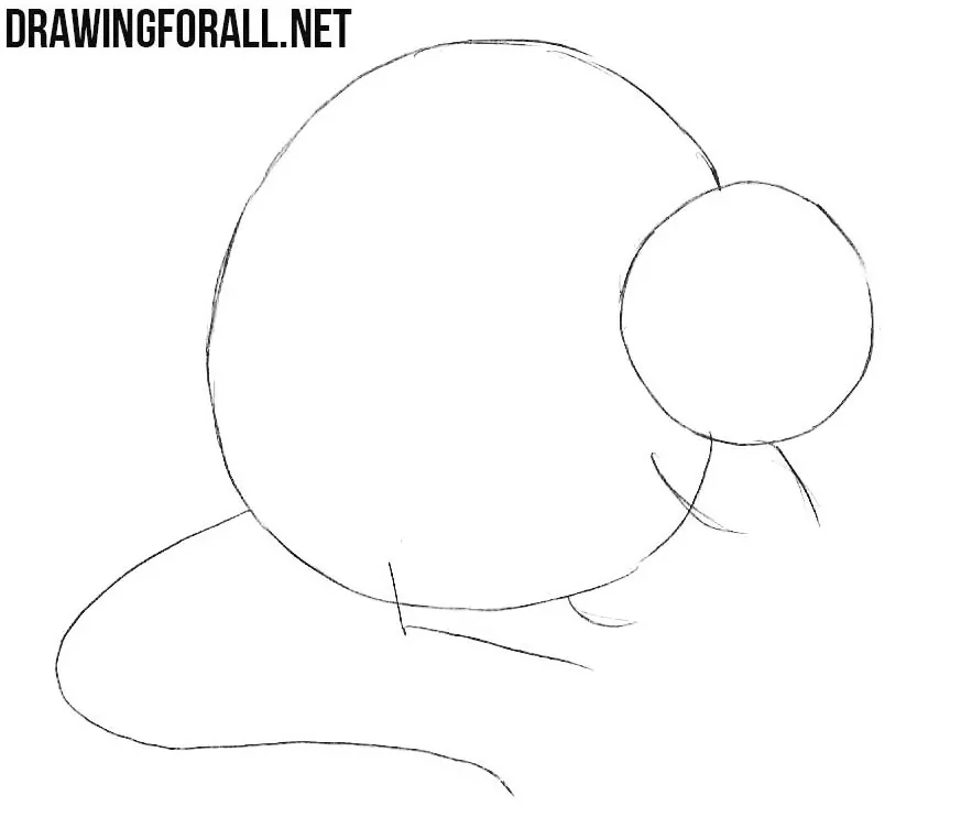 How to Draw a Muskrat step by step