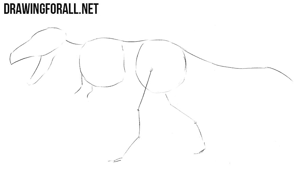 how to draw Tyrannosaurus