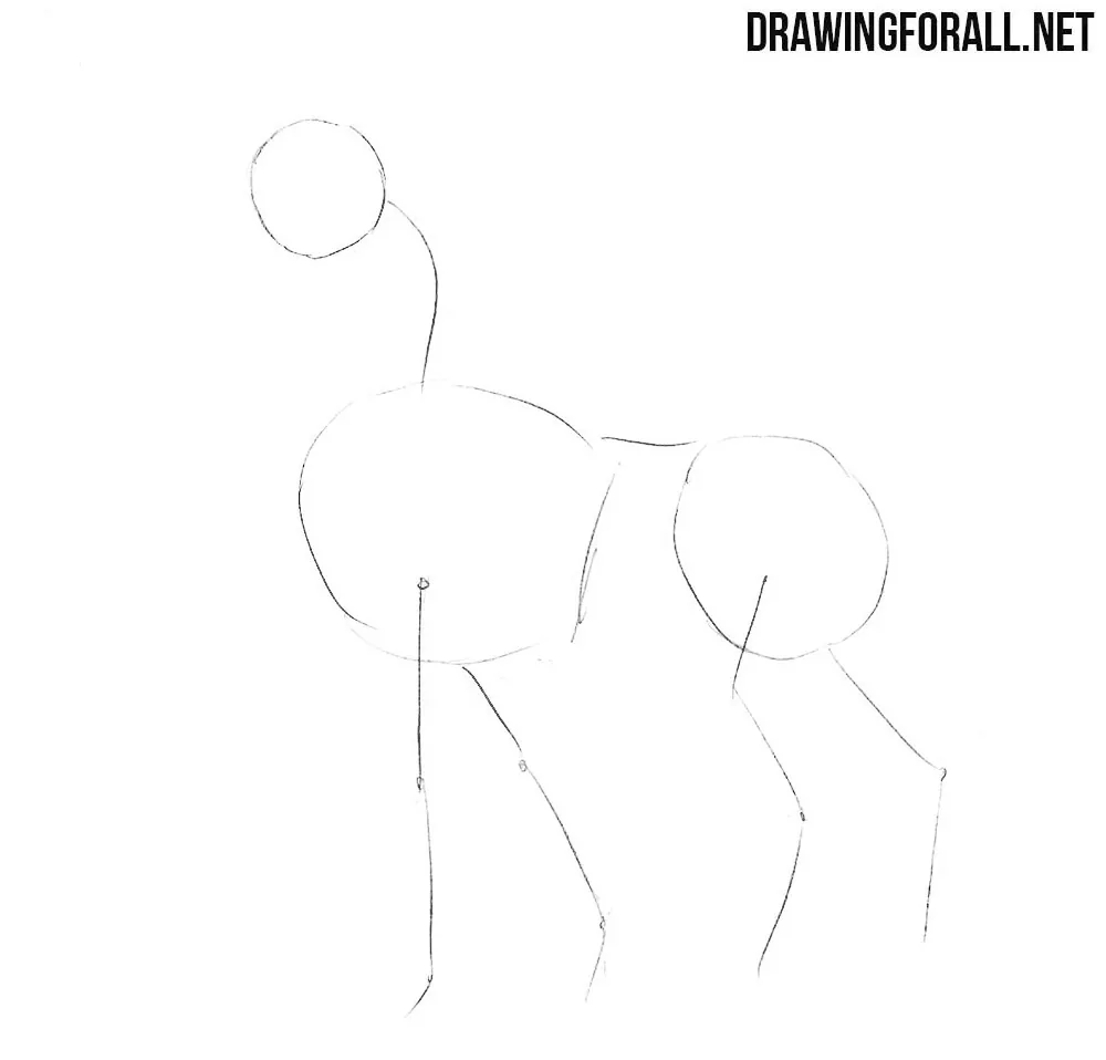 how to draw a Unicorn
