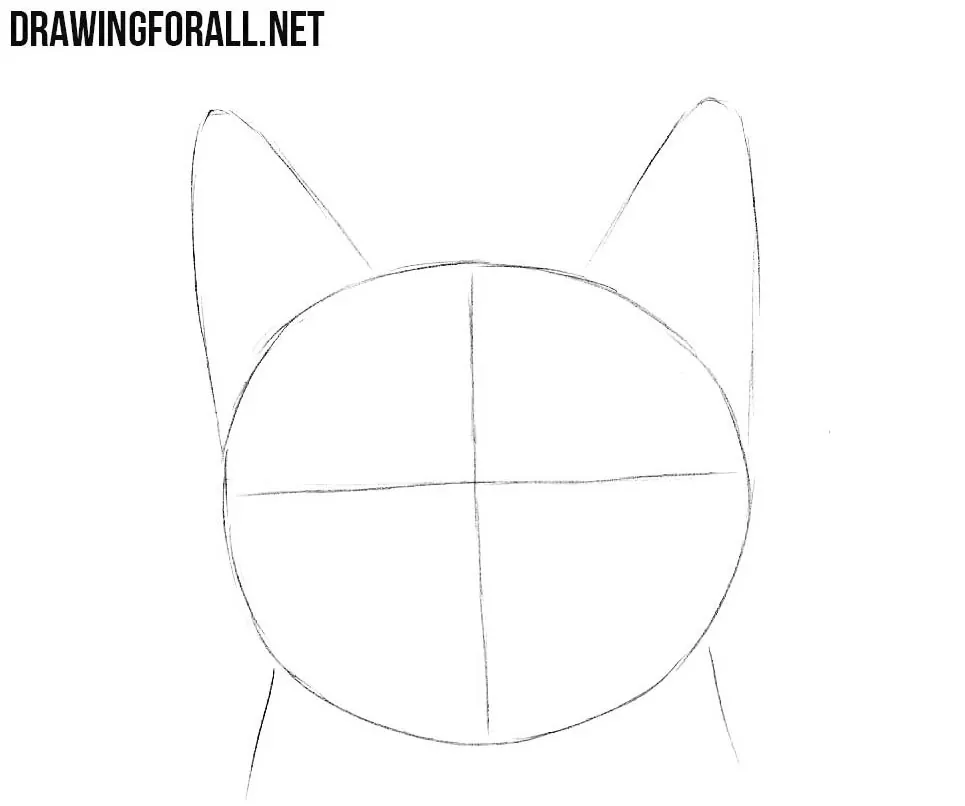 cat head drawing tutorial
