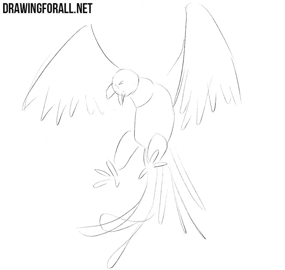 how to draw a phoenix step by step