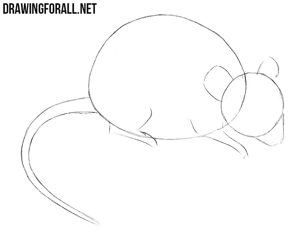 learn How to Draw a Mouse