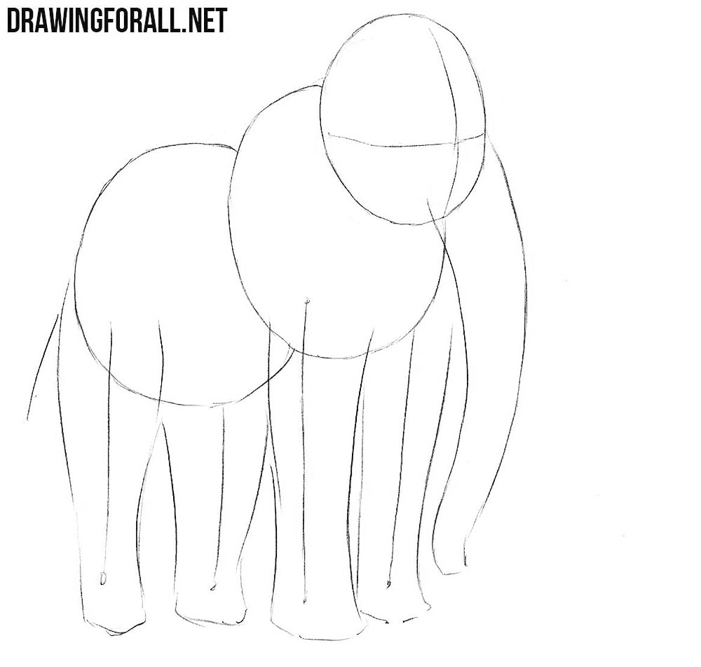 learn to draw a Mammoth step by step