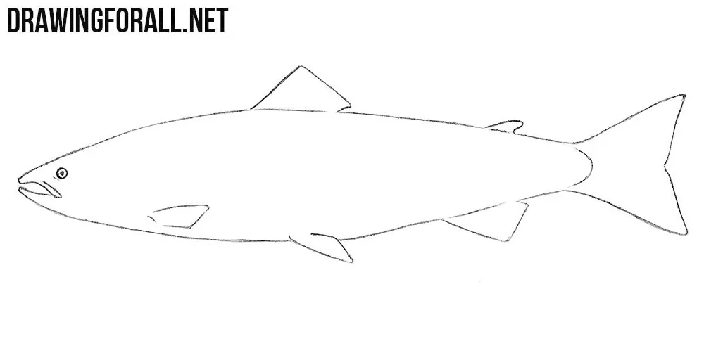 how to draw a fish