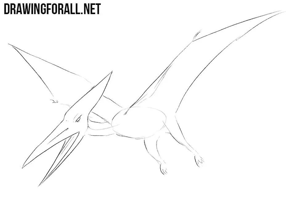how to draw a pterosaurs