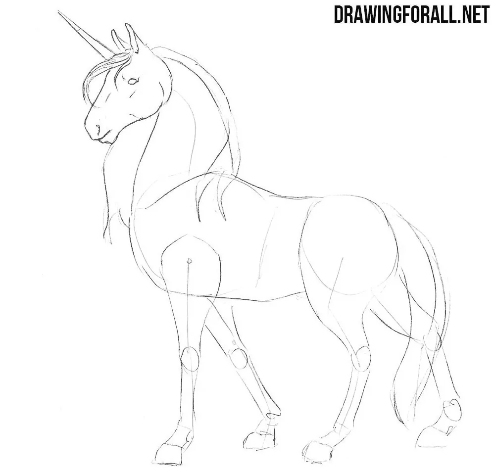 learn how to draw a unicorn with a pencil