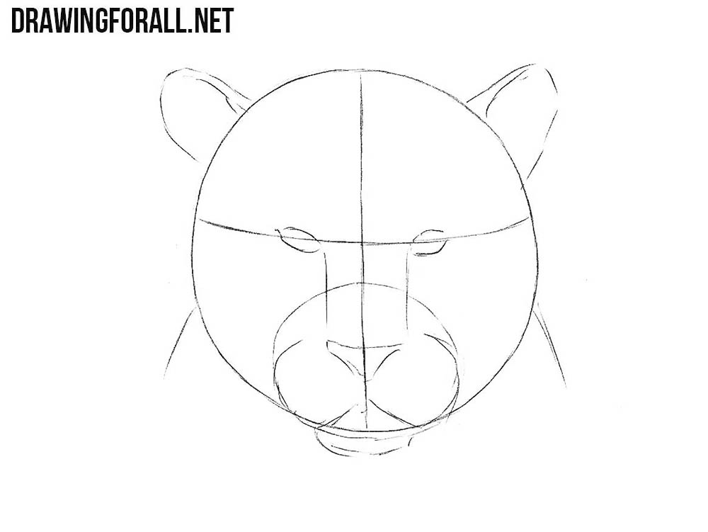 learn to draw a How to Draw a Tiger Head step by step