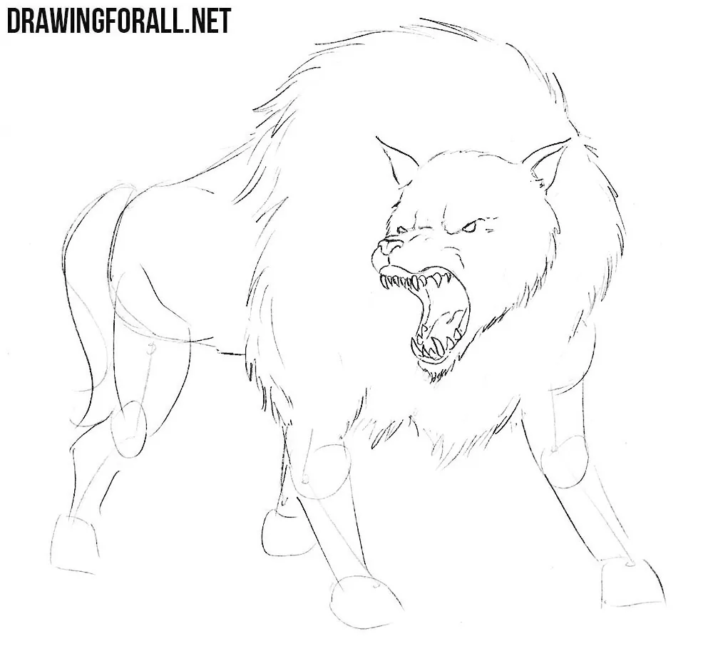 how to draw a dire wolf step by step