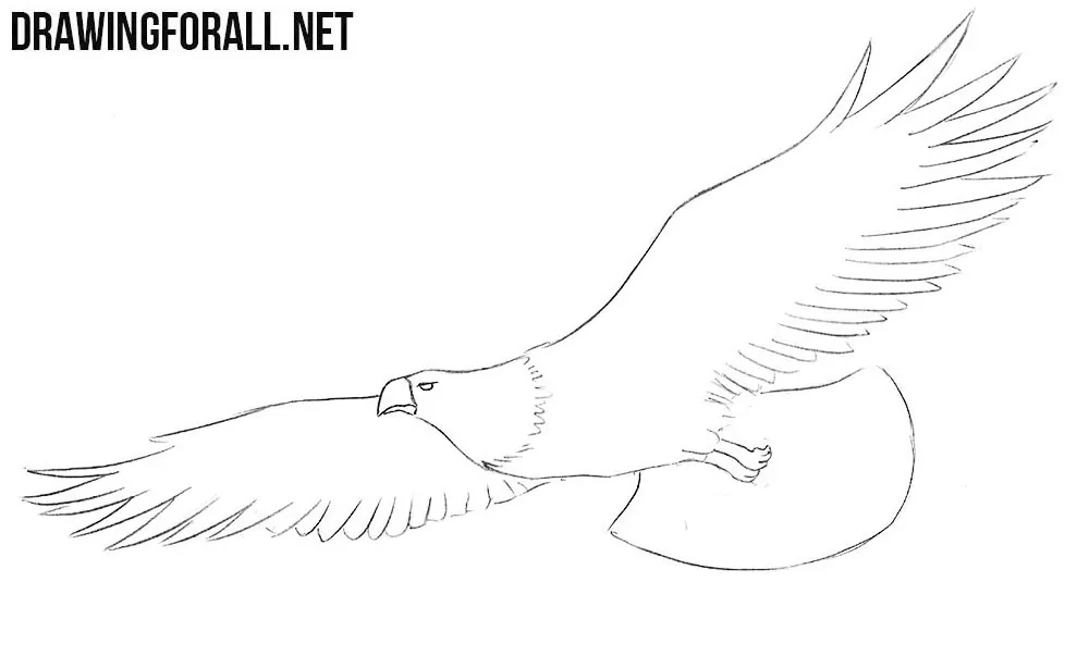 how to draw a eagle