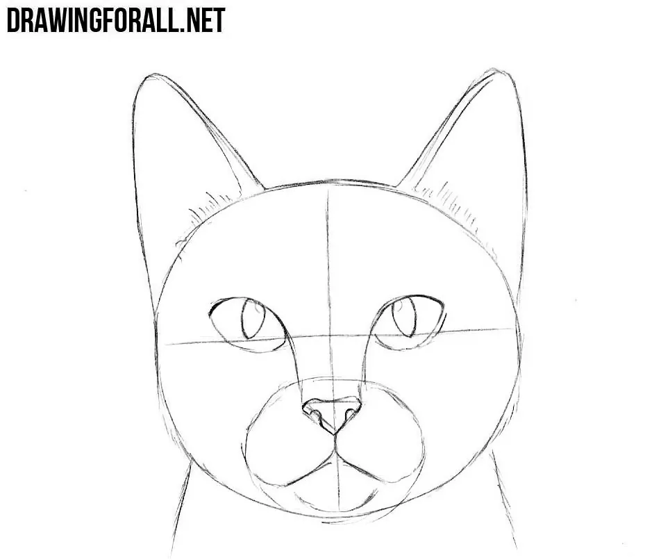 learn how to draw a cat head