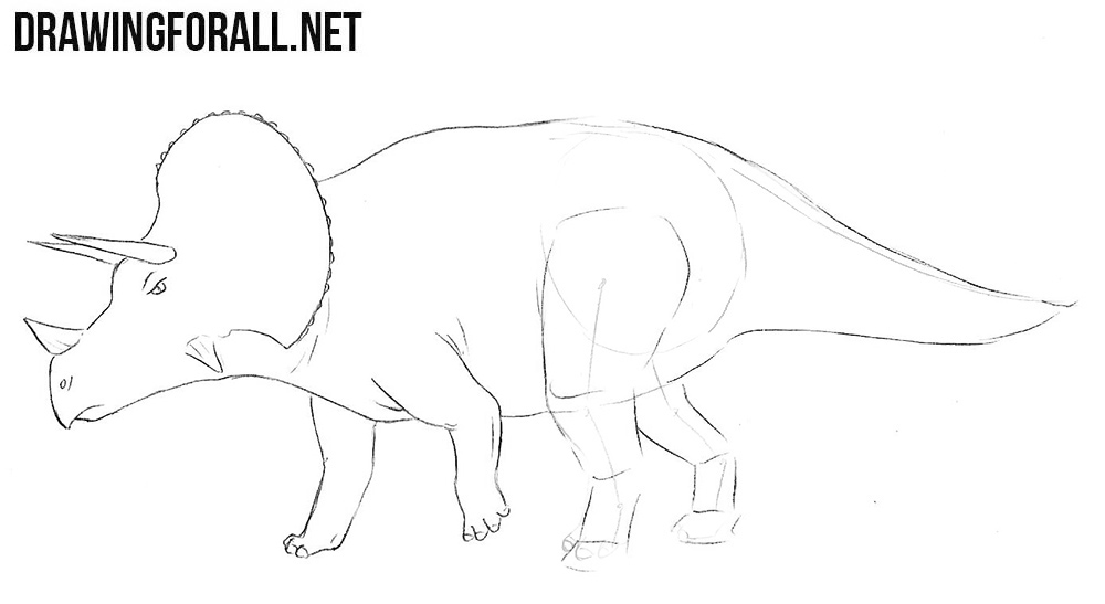 learn to draw a Triceratops