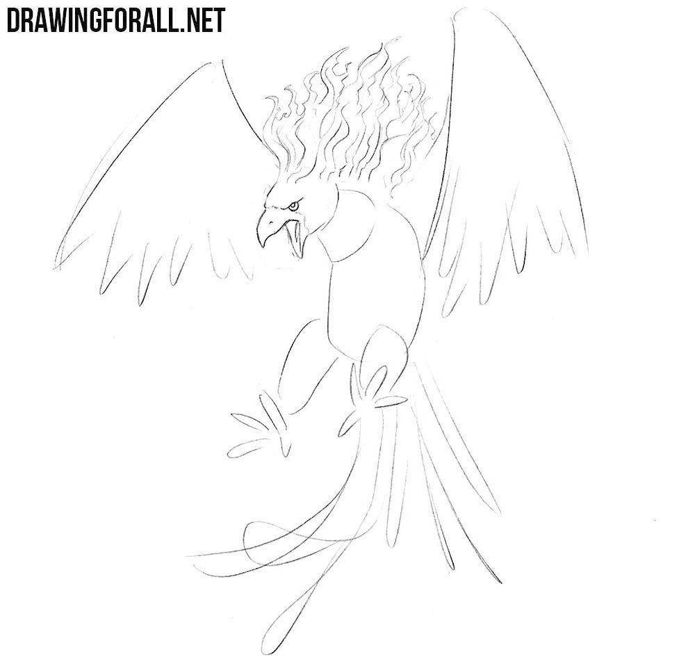phoenix drawing tutorial