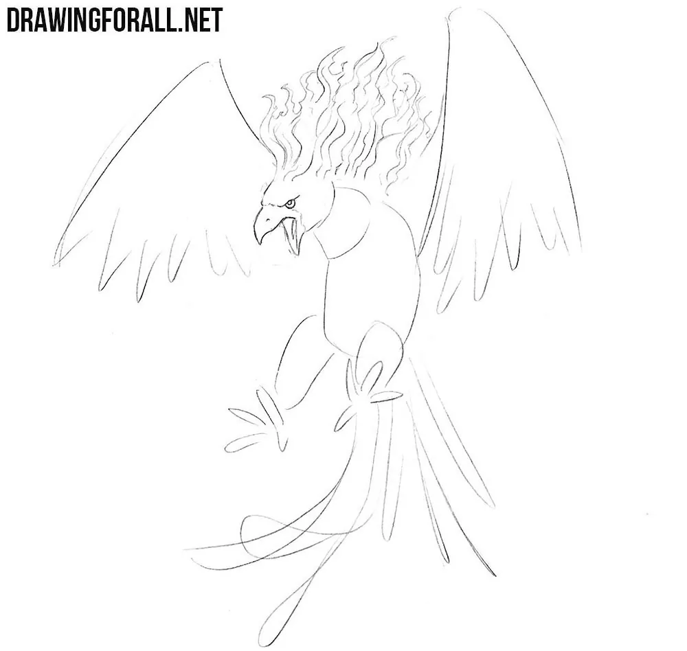 phoenix drawing tutorial