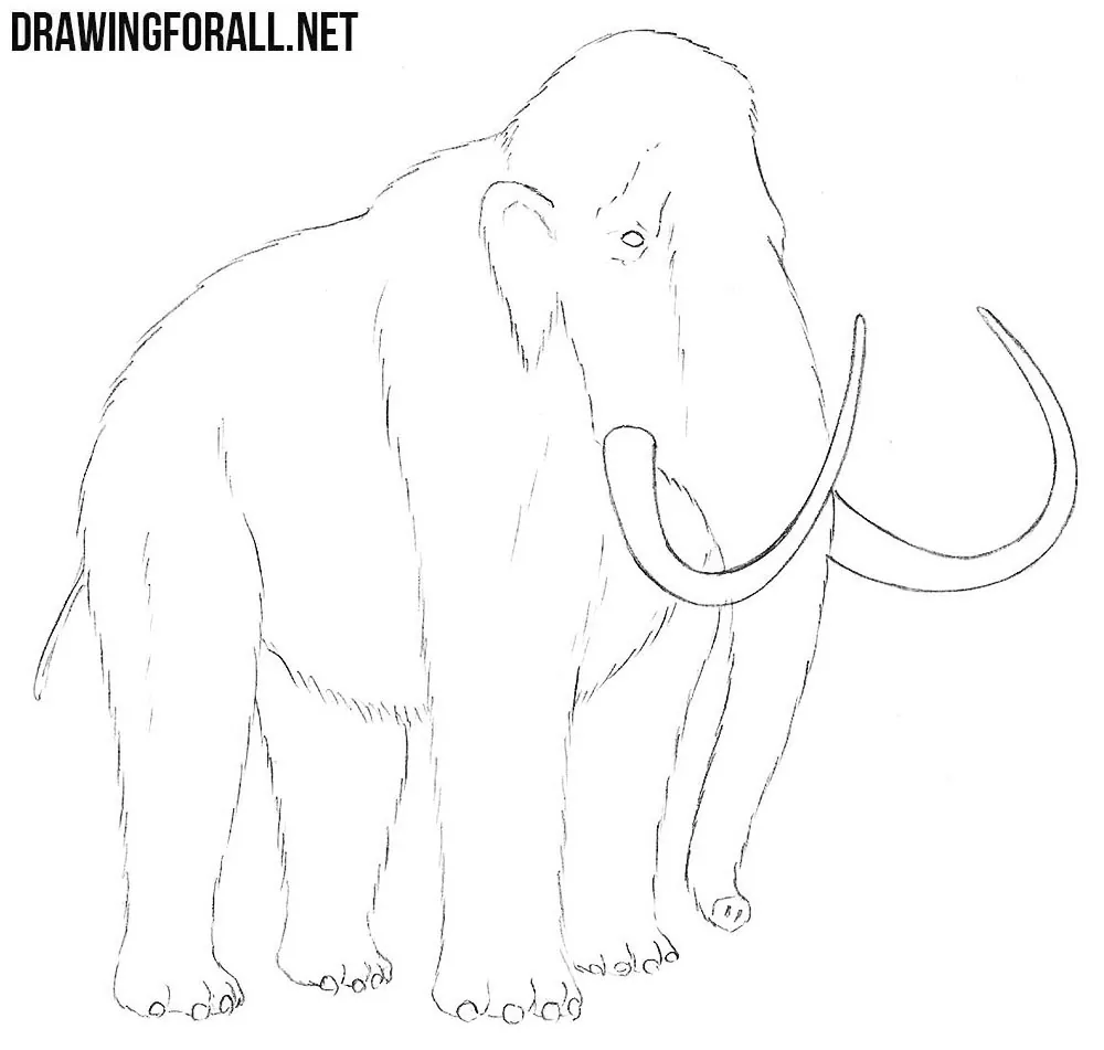 Mammoth drawing