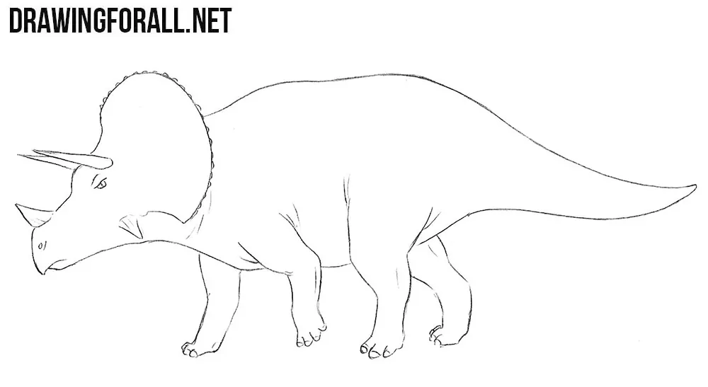 Triceratops drawing