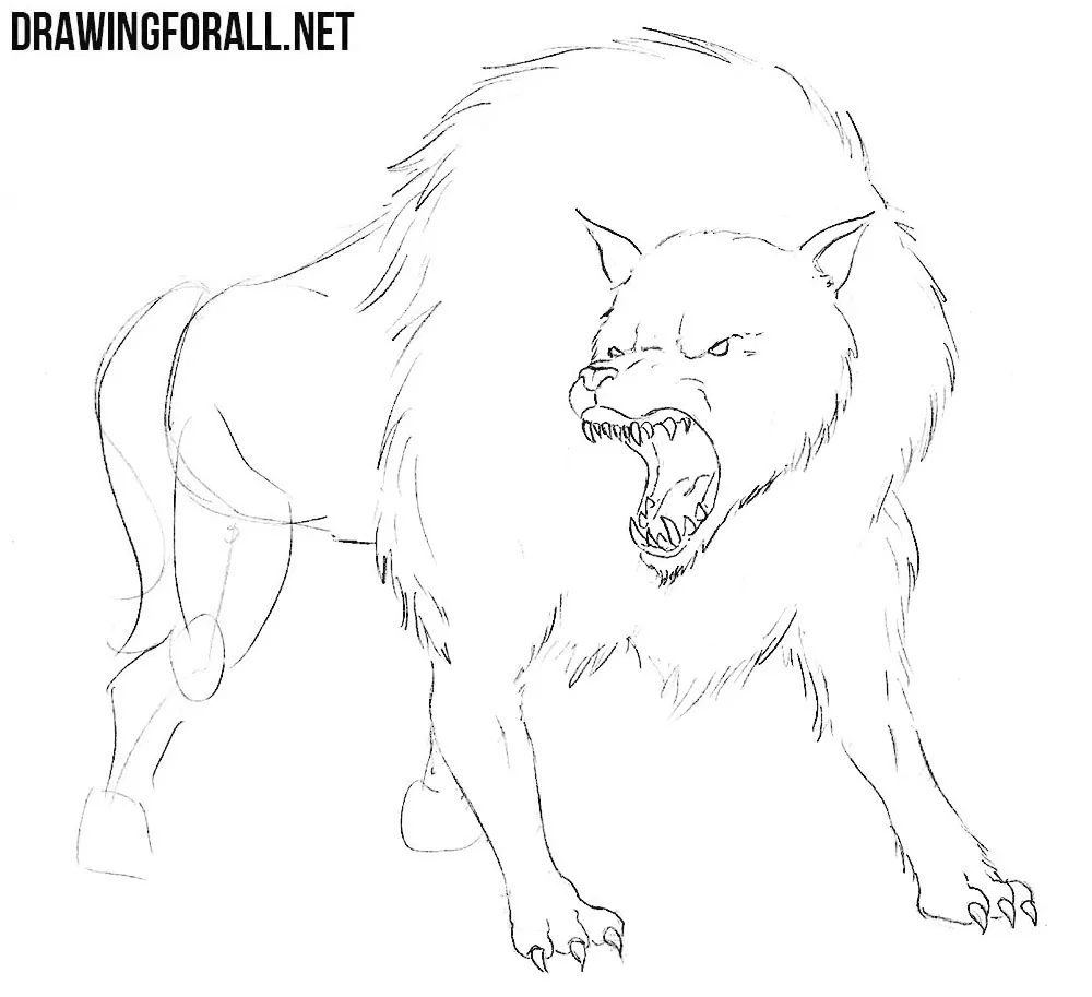 how to sketch out a dire wolf