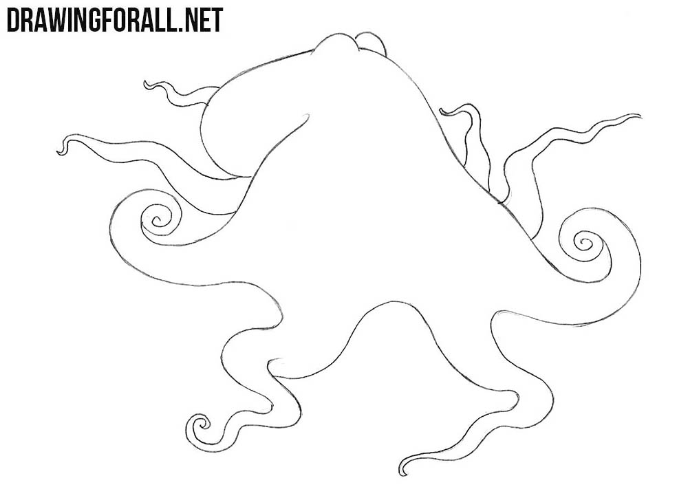 learn to draw an octopus