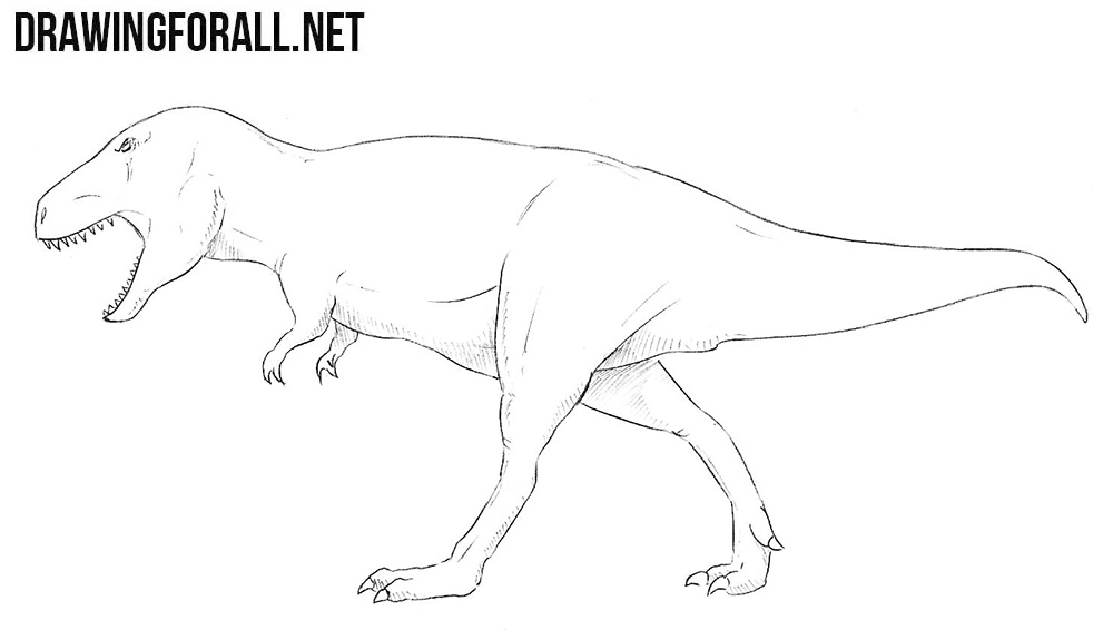 Tyrannosaurus drawing