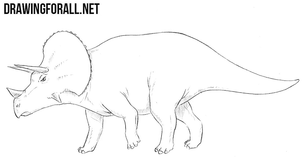how to draw a Triceratops