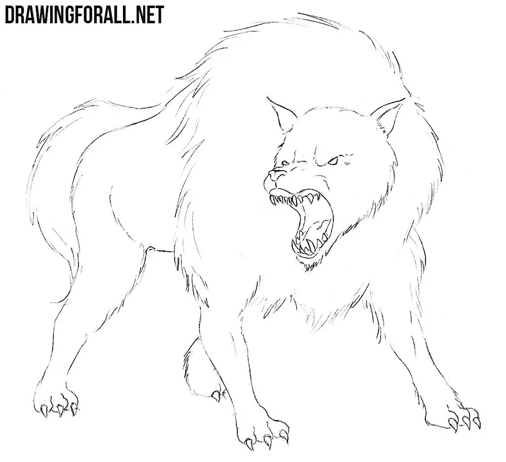 how to draw a dire wolf