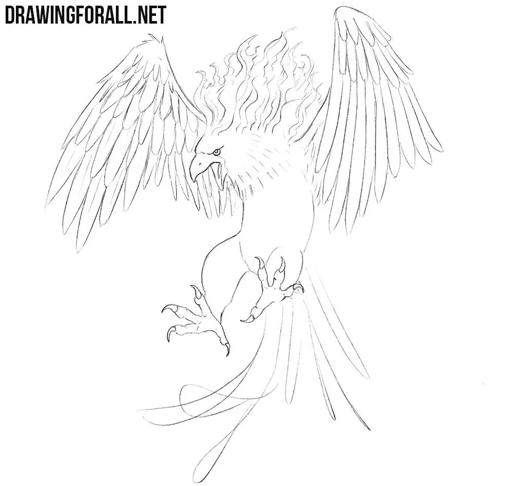 learn to draw a Phoenix from myths