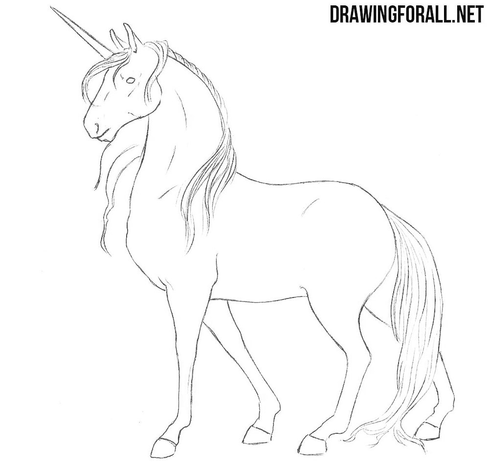 Unicorn drawing