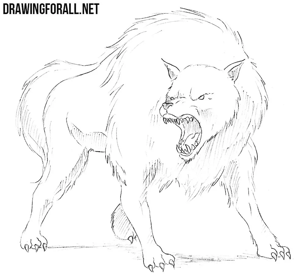 dire wolf drawing