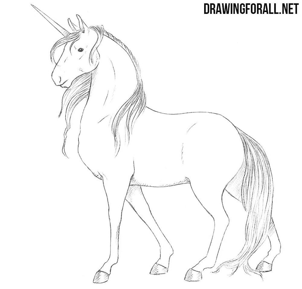 How to Draw a Unicorn | Drawingforall.net