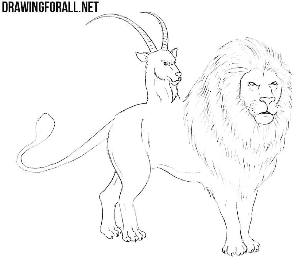 how to draw a chimera