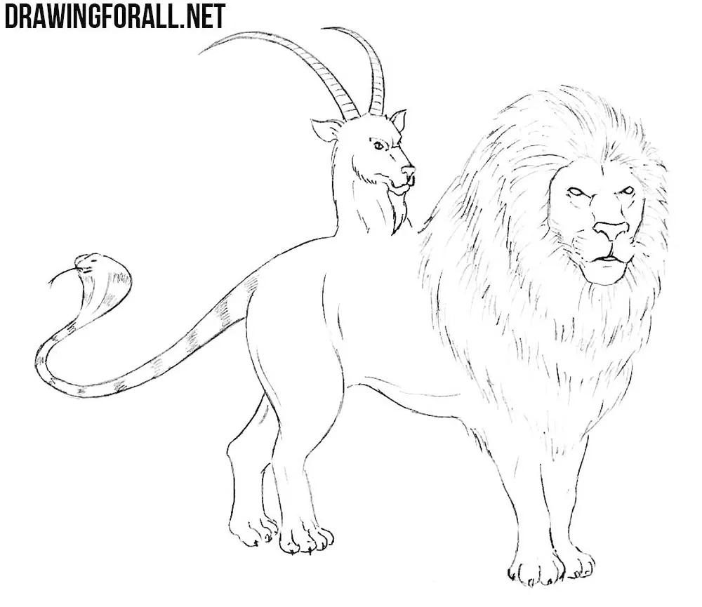 chimera drawing