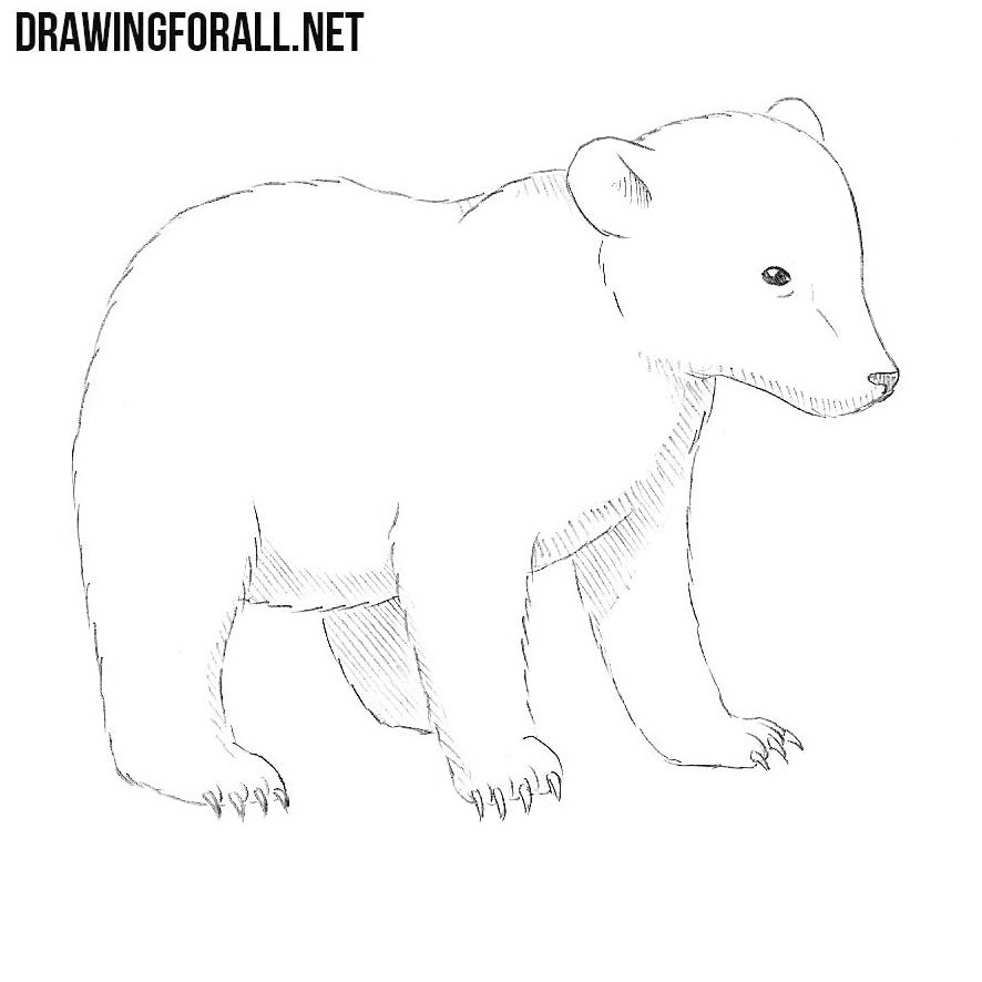How to draw a polar bear mom with a baby bear on her back  Sketchok easy  drawing guides