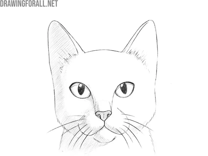 Add shading and highlights