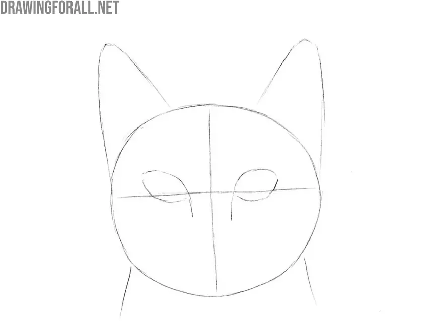 Sketch the cat eyes and nose bridge