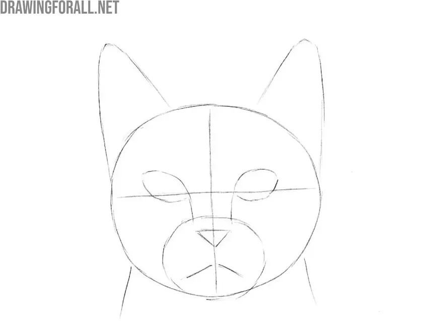 Draw the muzzle on the cat head