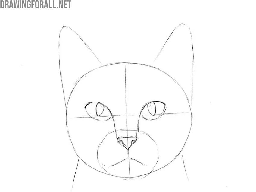 Refine the cat’s eyes and nose